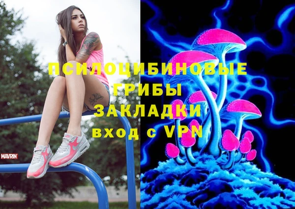 дживик Нефтегорск