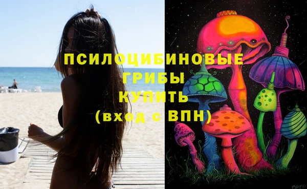 СК Болохово