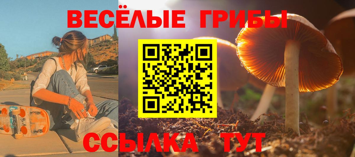 Галлюциногенные грибы мухоморы Чапаевск